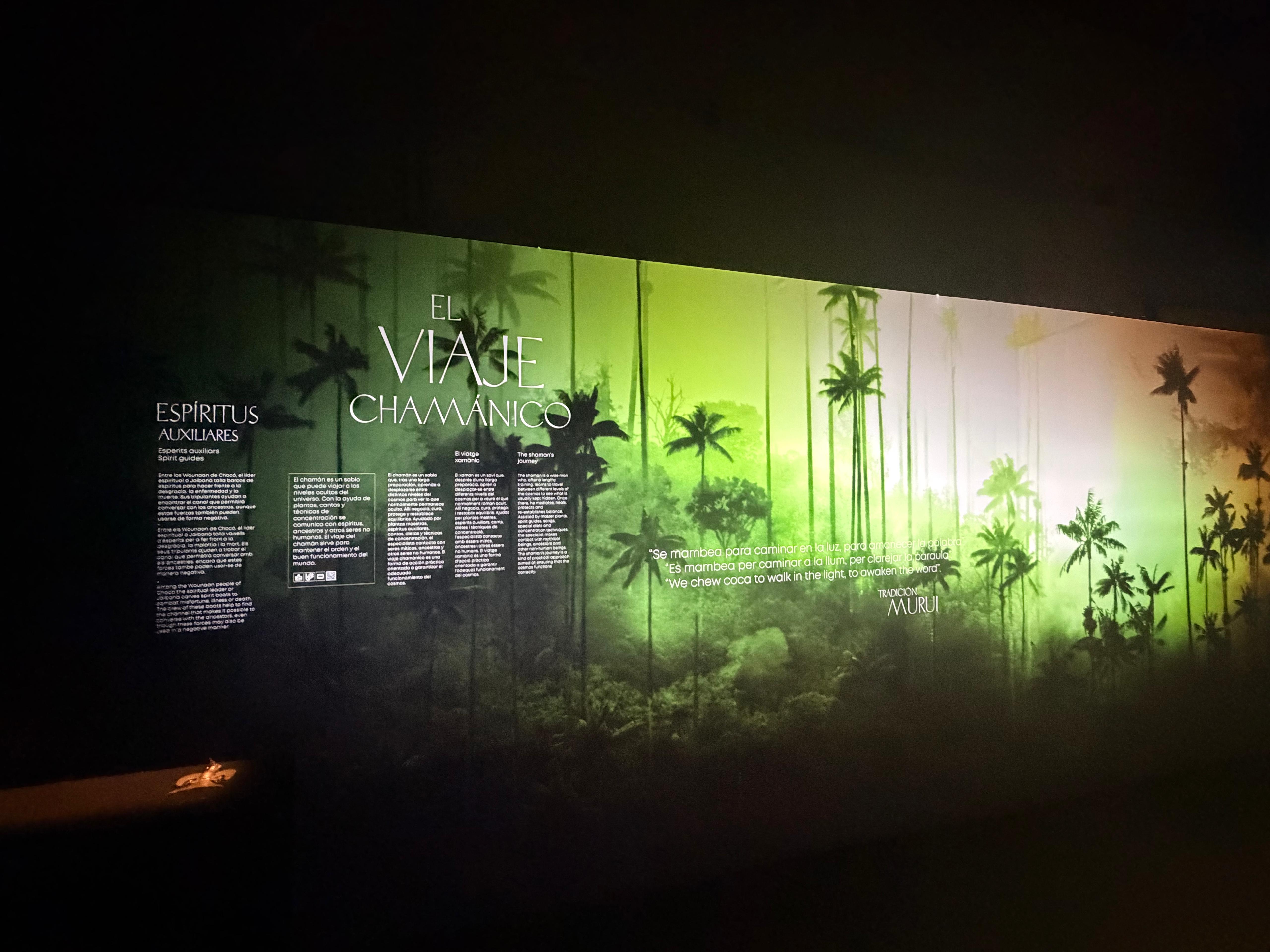 Espacio El viaje chamánico de la exposición El Oro y el Universo en Alicante