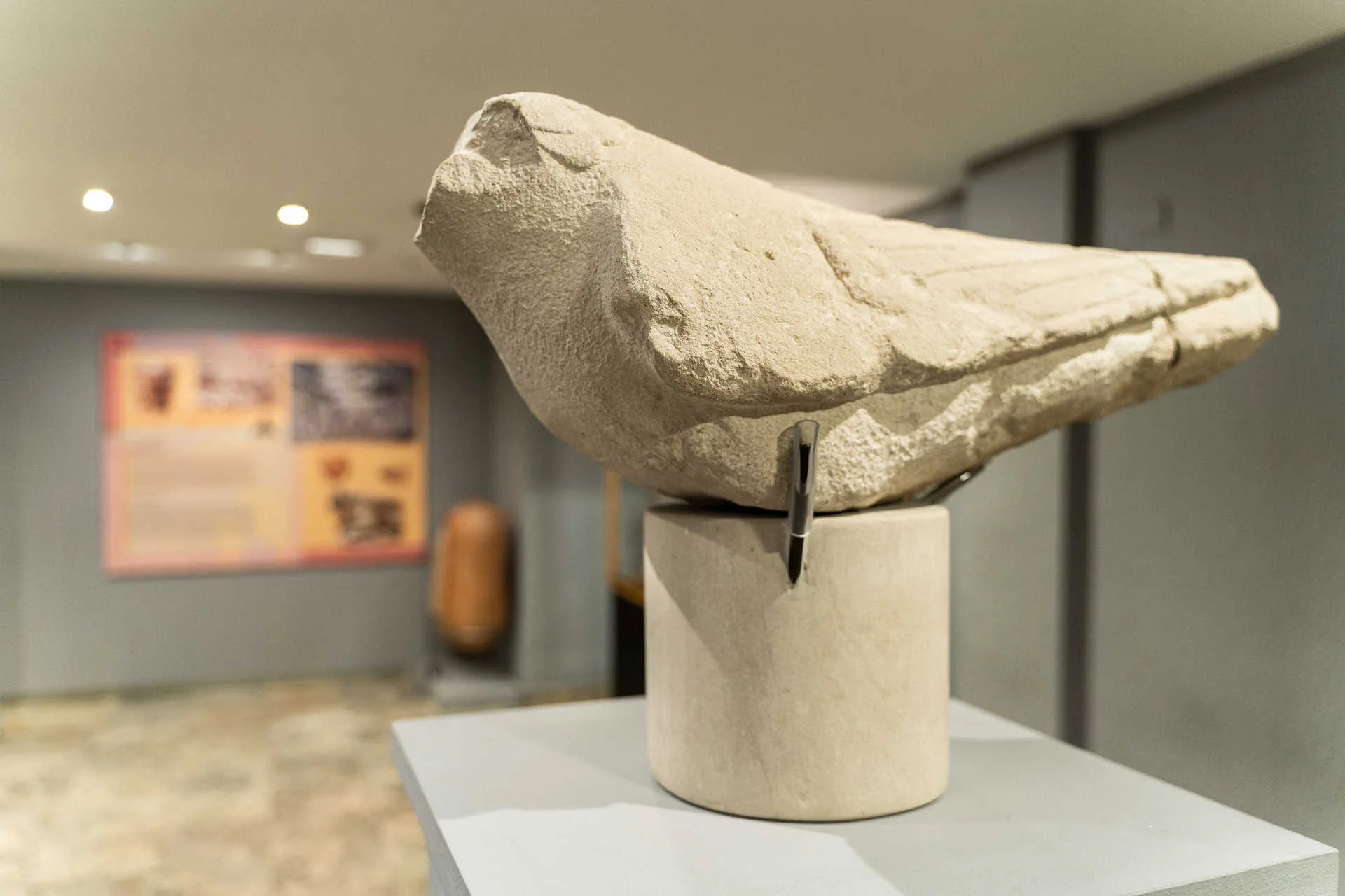 Museo Arqueológico de Elda