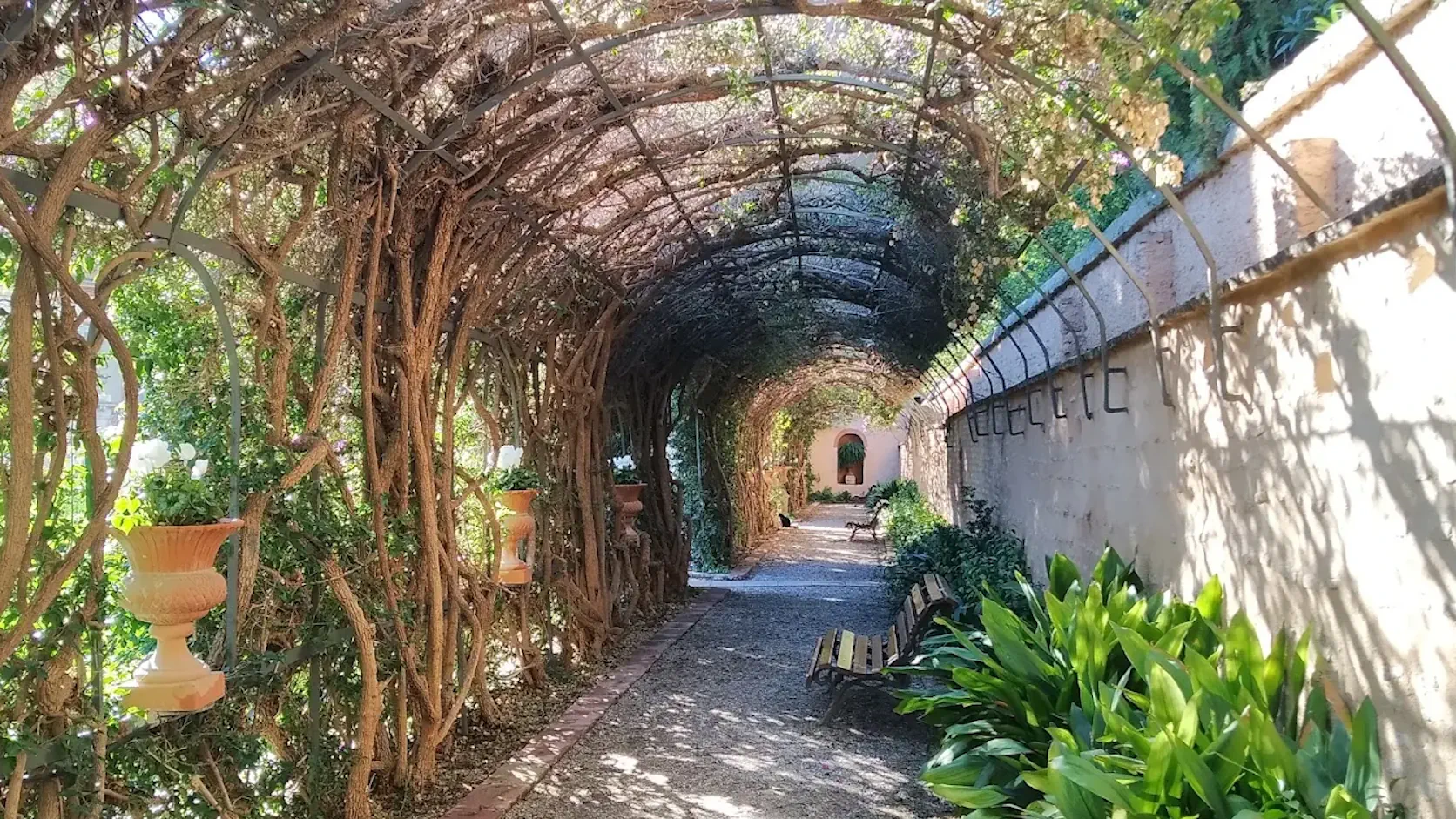 Jardín de Monforte — Valencia