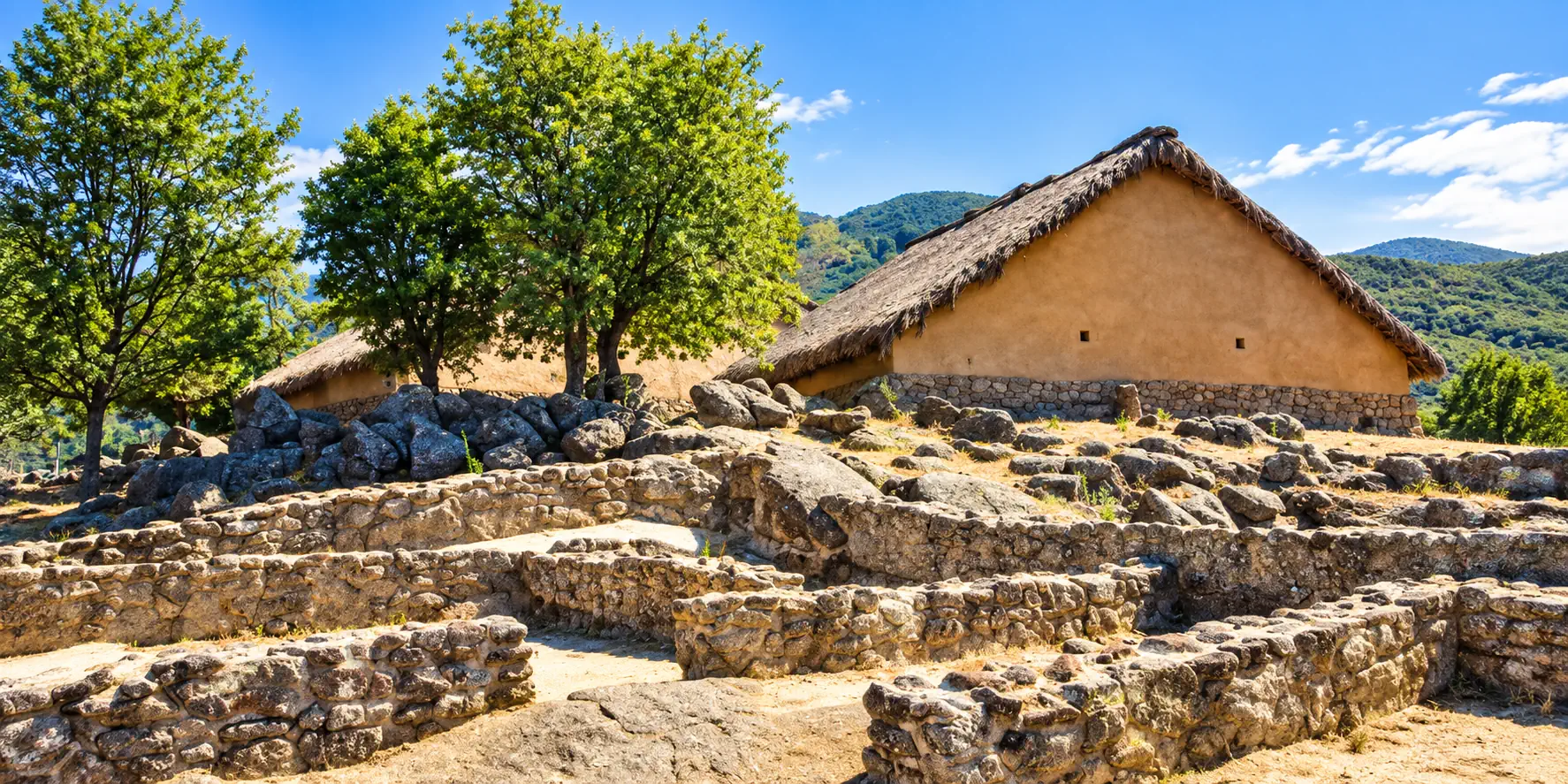 Museo Arqueológico Municipal de El Raso